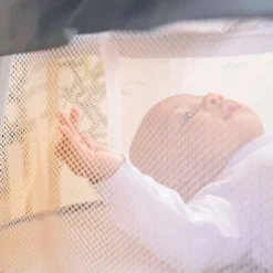 Bright Starts Disney Baby Winnie The Pooh Soothing Baby Bassinet - Slumber Party 17 Bright Starts Disney Baby Winnie The Pooh Soothing Baby Bassinet - Slumber Party -Graco Shop GUEST 1a668770 99c0 4a74 a007 2fa3c4c493ce