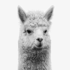 Set Of 8- 11x11 Gallery Square Framed Prints W/ Mats Decorative Wall Art Set - Black And White Jungle Nursery - Americanflat With Mat -Graco Shop GUEST 1f418924 2186 44c9 b07d 00e0b54e1dfb