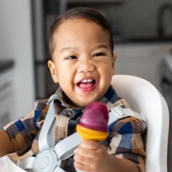 Boon Pulp Freezer Tray - 2pk -Graco Shop GUEST 20f6a54e 138d 4340 95e7 dac8755bb53d