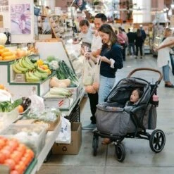 Larktale Sprout Single-to-Double Stroller/Wagon - Expandable And Foldable Stroller Wagon With Canopy, Storage, And Accessories - Nightcliff Stone 13 Larktale Sprout Single-to-Double Stroller/Wagon - Expandable And Foldable Stroller Wagon With Canopy, Storage, And Accessories - Nightcliff Stone -Graco Shop GUEST 483f195b e267 40ca 8807 c20c3f2838dd