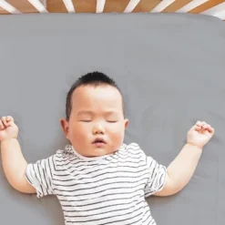 The Peanutshell Dino 4-Pack Crib Fitted Sheet Set In Blue/Grey/White -Graco Shop GUEST 576beb3d 7d57 42fd b1cb 8ef62f7953ea