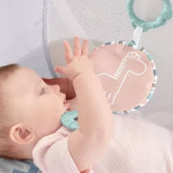 Fisher Price Fisher-Price Rock With Me Bassinet -Graco Shop GUEST 6a6e621a 4269 48d0 b273 d91d9554e96c