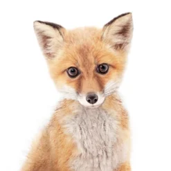 Americanflat Nursery Baby Animals - 8 Piece Square Framed With Mat Gallery Wall Set -Graco Shop GUEST 74ebf71f 03a3 42b3 a616 fe2ad150beee