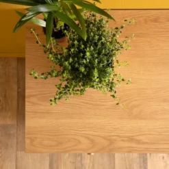 Teen Austin 5 Drawer Dressers - Dadada Baby 21 Teen Austin 5 Drawer Dressers - Dadada Baby -Graco Shop GUEST 83e095cd fc3f 43f2 b4db dc1c3e40d1aa