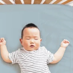 The Peanutshell Dino 4-Pack Crib Fitted Sheet Set In Blue/Grey/White -Graco Shop GUEST 892b9185 4d7b 4b57 943e 92fcbc6445be