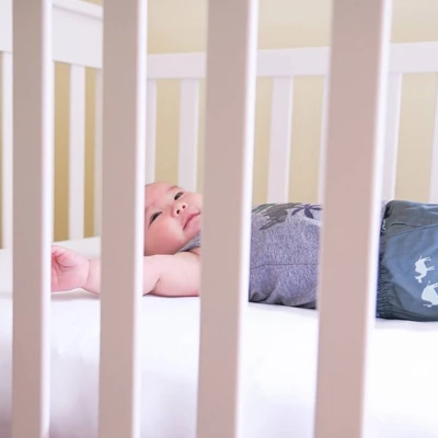 Naturepedic Lullaby Earth Healthy Support Baby Crib & Toddler Mattress 1 Naturepedic Lullaby Earth Healthy Support Baby Crib & Toddler Mattress