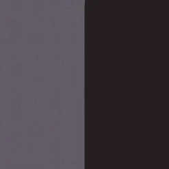 Evenflo Gold Pivot Xpand Second Seat -Graco Shop GUEST baa70109 c872 4dc4 be6f 7296e5119ee7