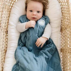 Dreamland Baby Weighted Swaddle Wrap - 0-6 Months -Graco Shop GUEST e17db335 7274 4c8f 852f 6ed44a77a39c